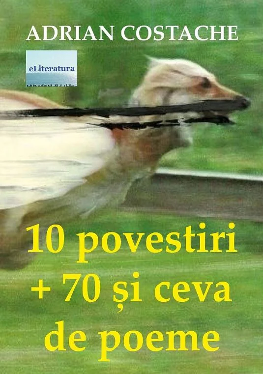 10 povestiri + 70 si ceva de poeme
