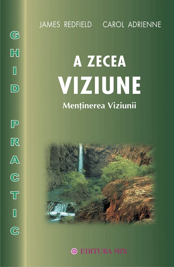 A zecea viziune. Ghid practic
