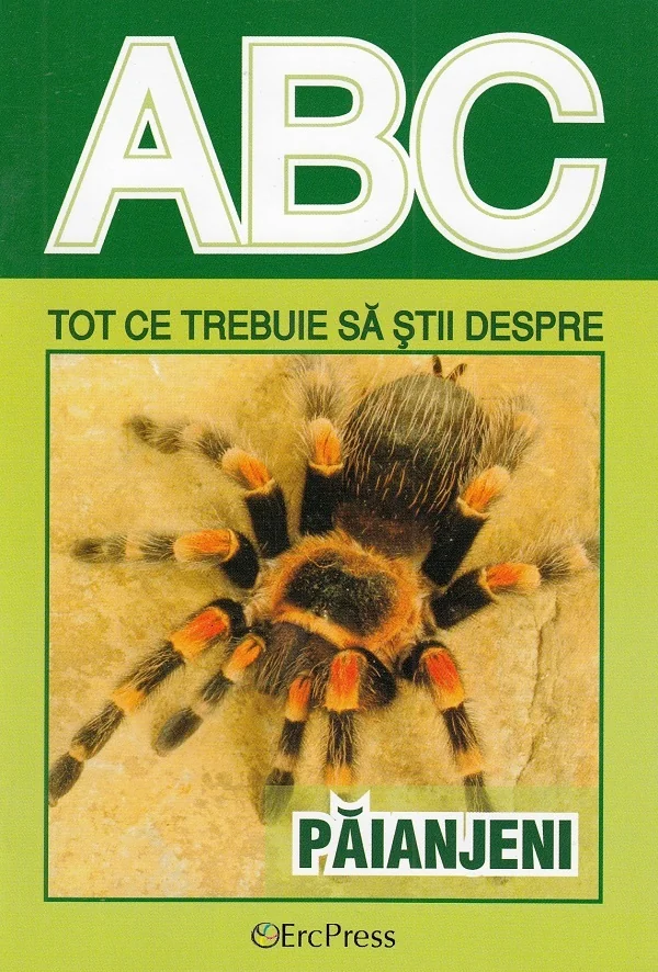 Abc tot ce trebuie sa stii despre paianjeni