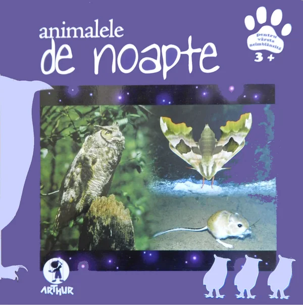 Animalele de noapte