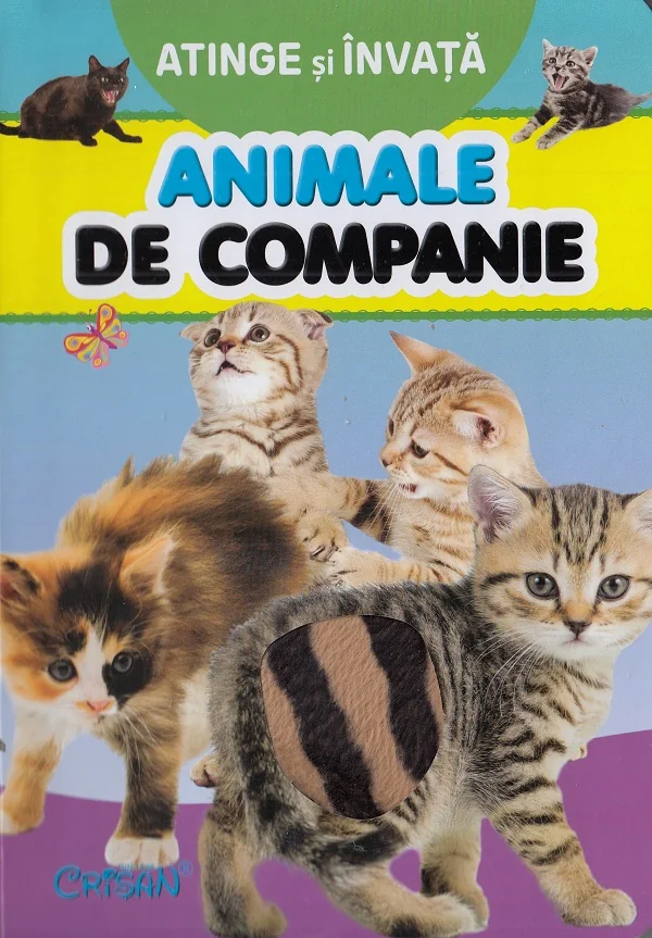 Atinge si invata. Animale de companie