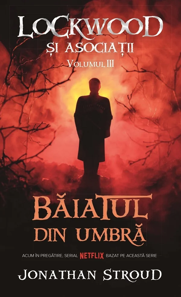 Baiatul din umbra Vol.3 Seria Lockwood si Asociatii