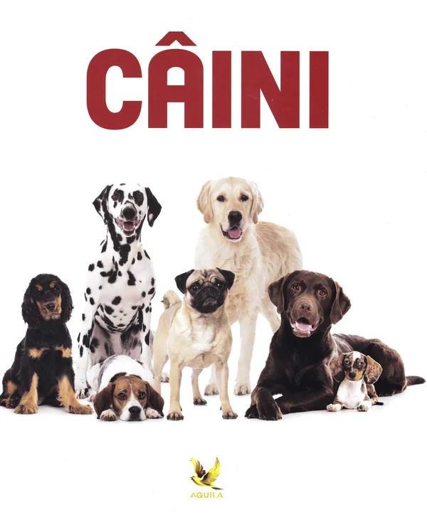 Caini