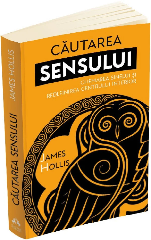 Cautarea sensului. Chemarea sinelui si redefinirea centrului interior