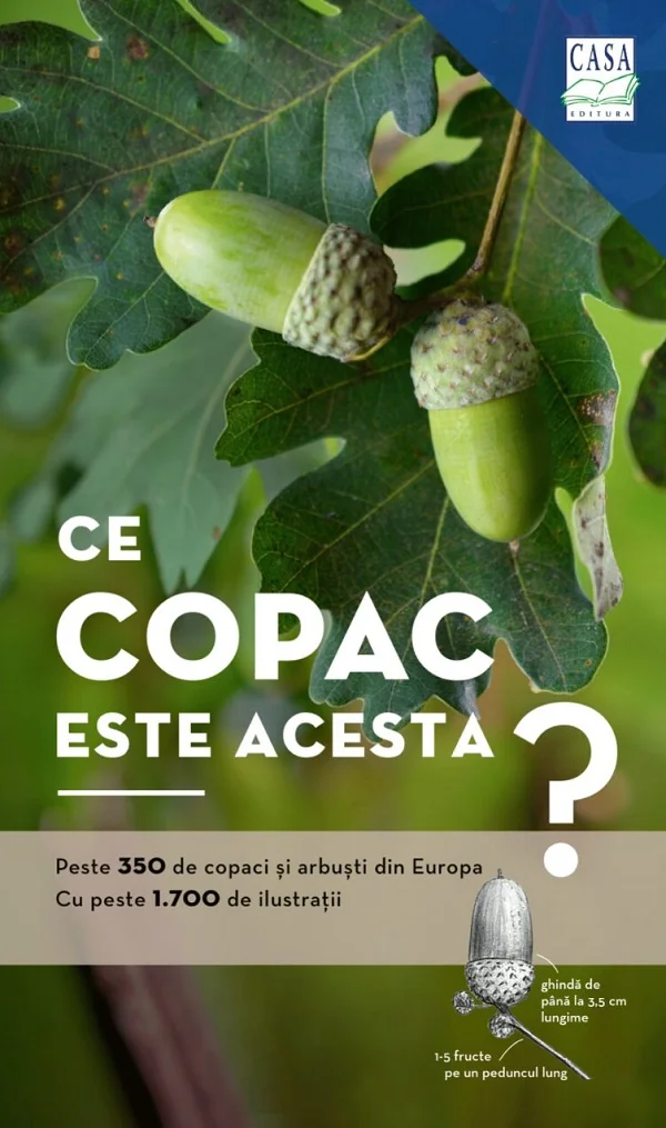 Ce copac este acesta? - Margot Spohn, Roland Spohn