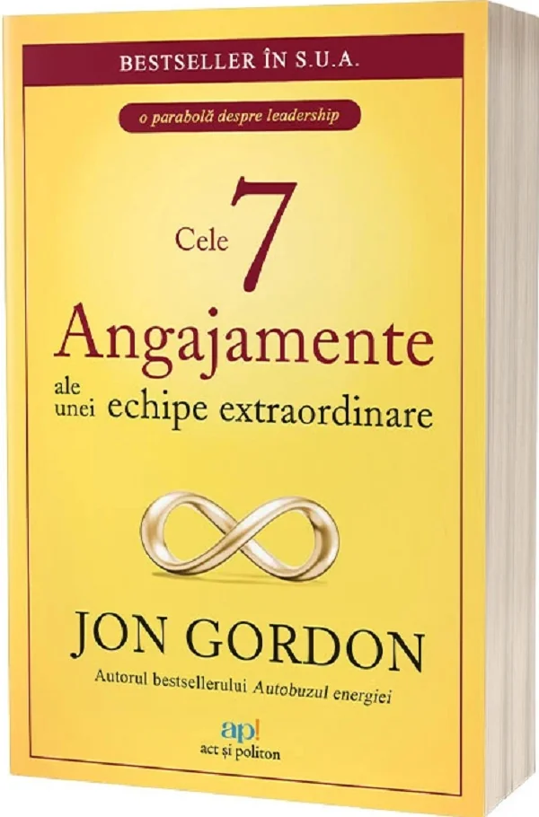 Cele 7 angajamente ale unei echipe extraordinare