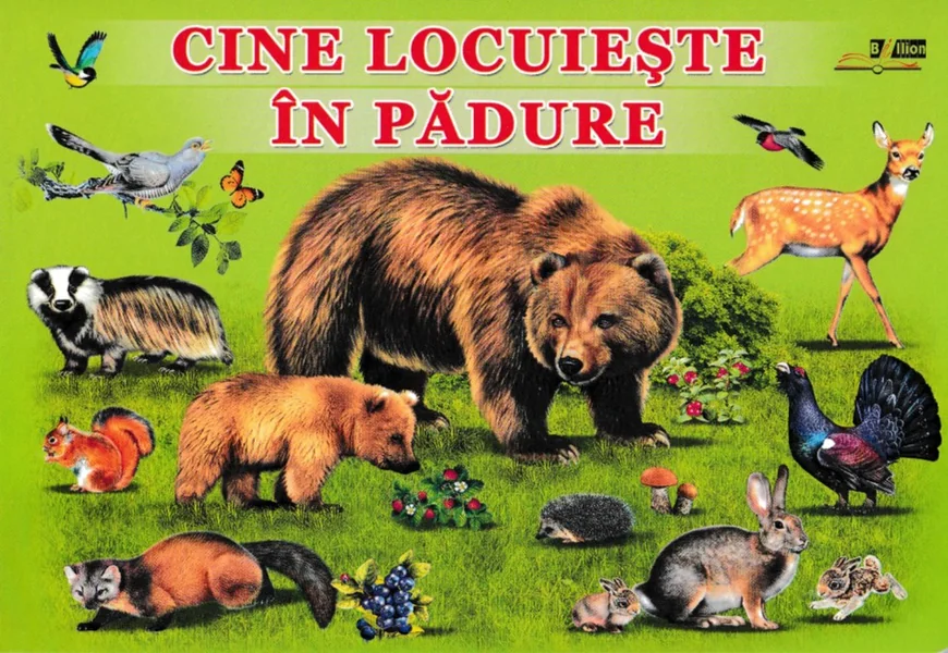Cine locuieste in padure