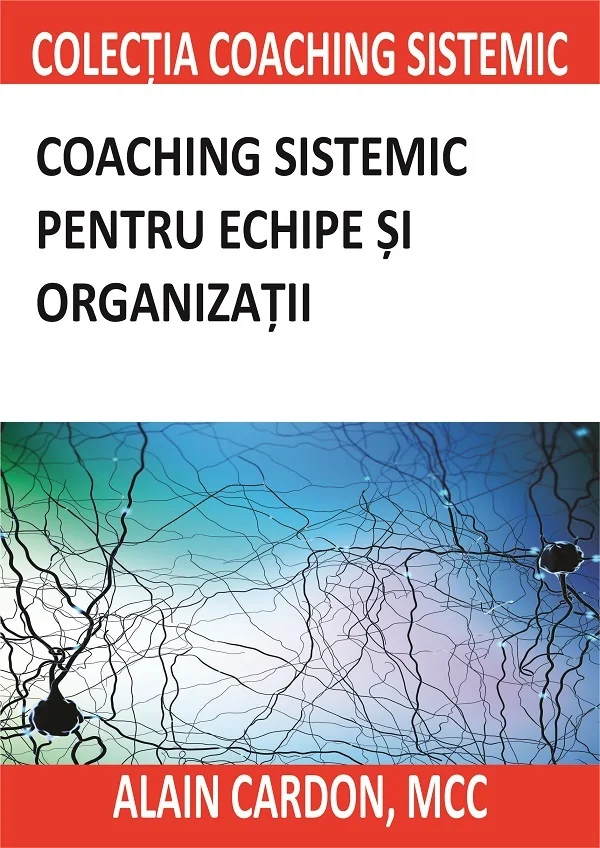 Coaching sistemic pentru echipe si organizatii