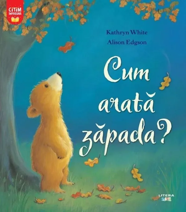 Cum arata zapada?
