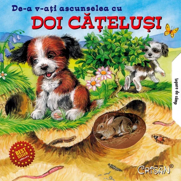 De-a v-ati ascunselea cu doi catelusi