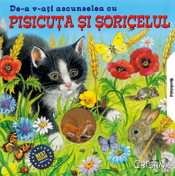 De-a v-ati ascunselea cu pisicuta si soricelul
