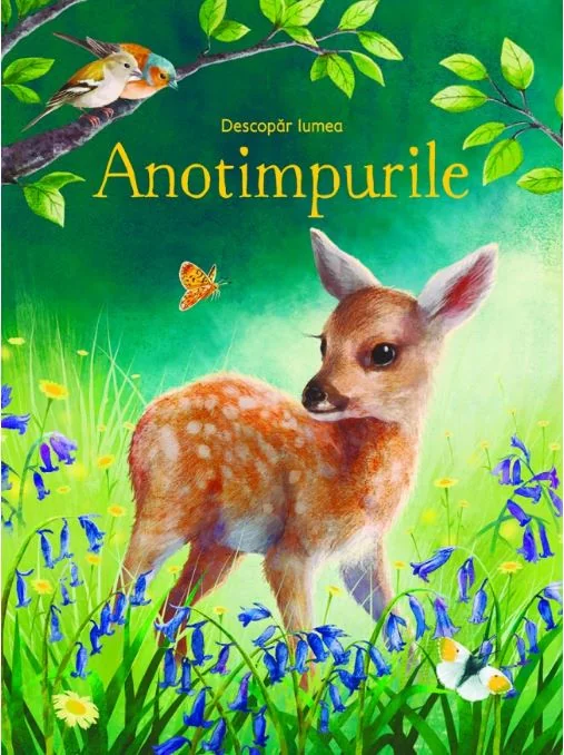 Descopar lumea: Anotimpurile