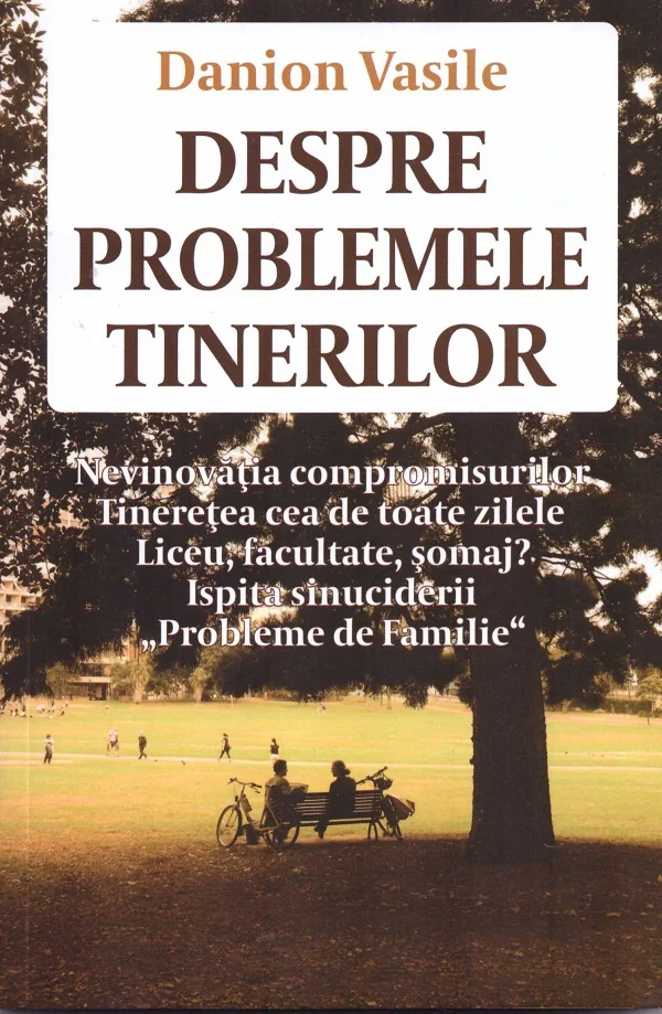 Despre problemele tinerilor