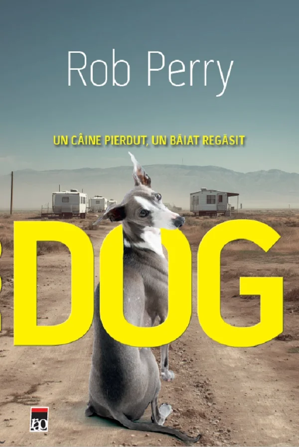 Dog. Un caine pierdut, un baiat regasit
