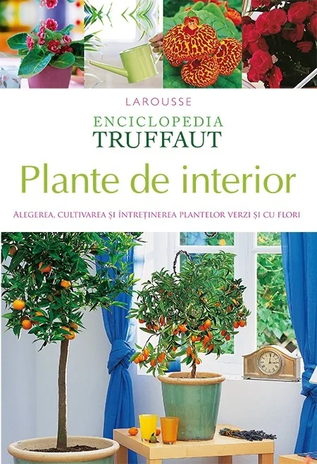 Enciclopedia Truffaut: Plante de interior