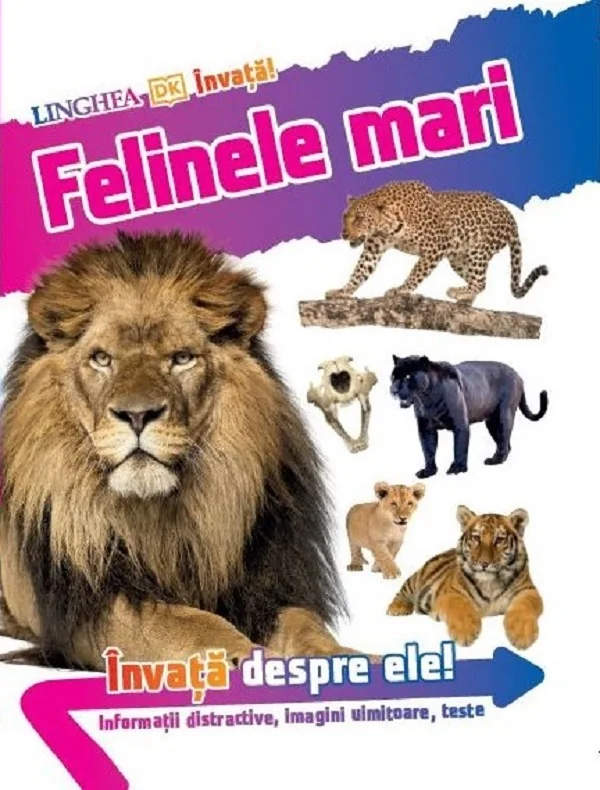 Felinele mari. Invata despre ele!