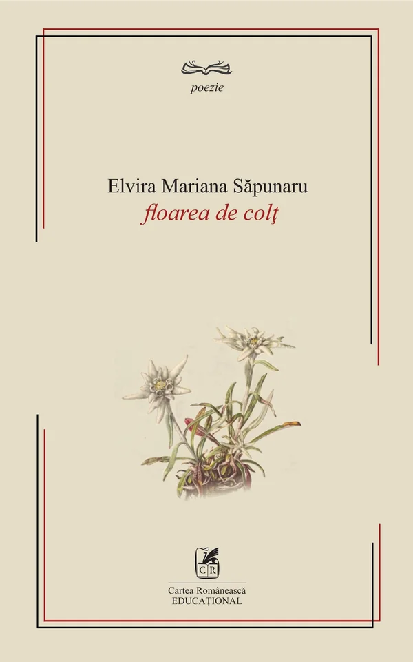 Floare de colt
