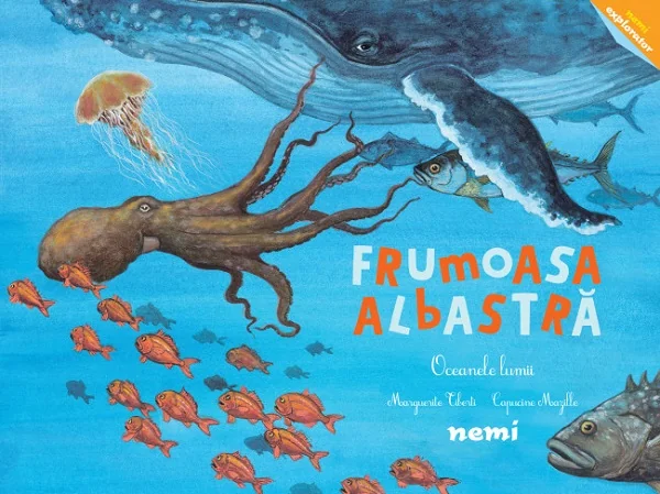 Frumoasa albastra. Oceanele lumii