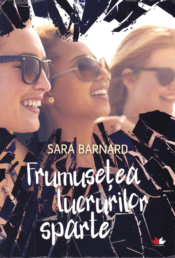 Frumusetea lucrurilor sparte