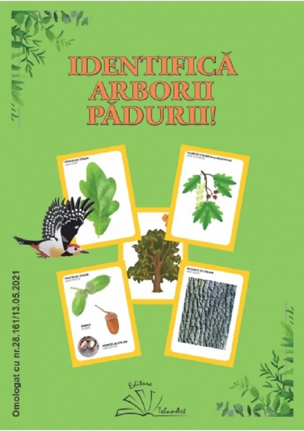 Identifica arborii padurii