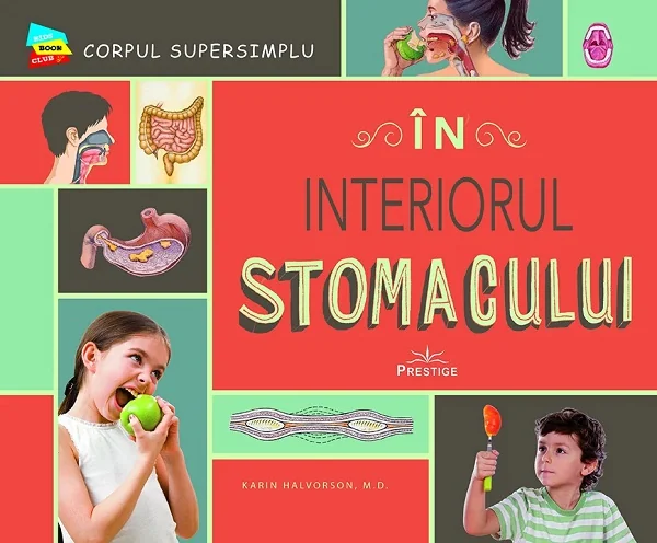 In interiorul stomacului