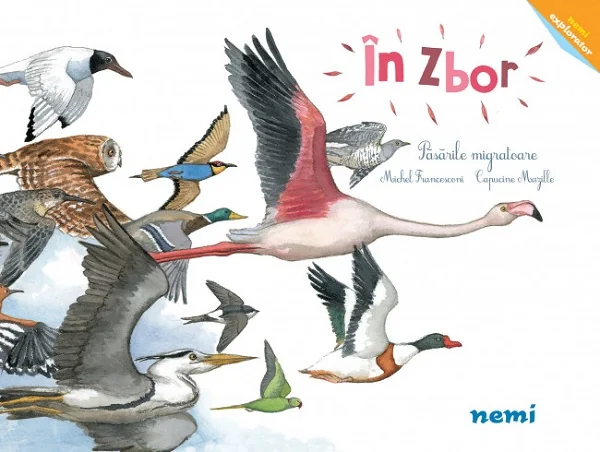In zbor. Pasarile migratoare - Capucine Mazille, Michel Francesconi