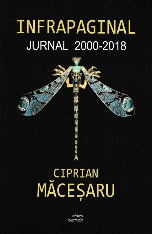 Infrapaginal. Jurnal 2000-2018