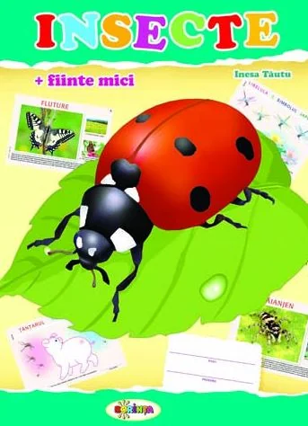 Insecte (mapa)