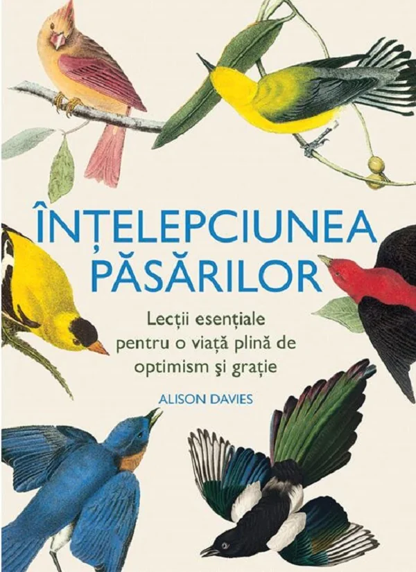 Intelepciunea pasarilor