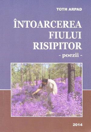 Intoarcerea fiului risipitor - Toth Arpad