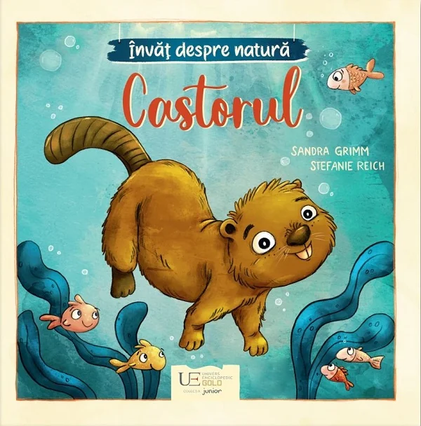 Invat despre natura. Castorul