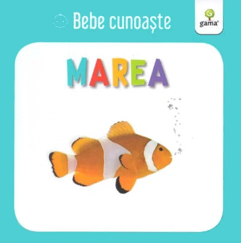 Marea - Bebe cunoaste