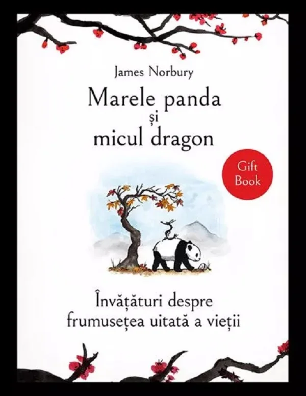 Marele panda si micul dragon