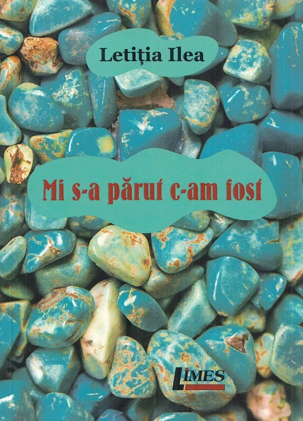 Mi s-a parut c-am fost
