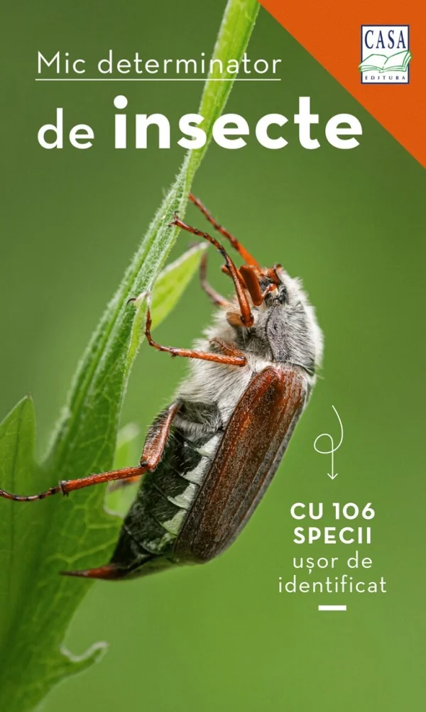 Mic determinator de insecte cu 106 specii usor de identificat