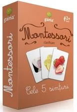 Montessori. Clasificare: Cele 5 simturi