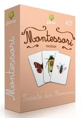 Montessori. Vocabular: Insecte din Romania