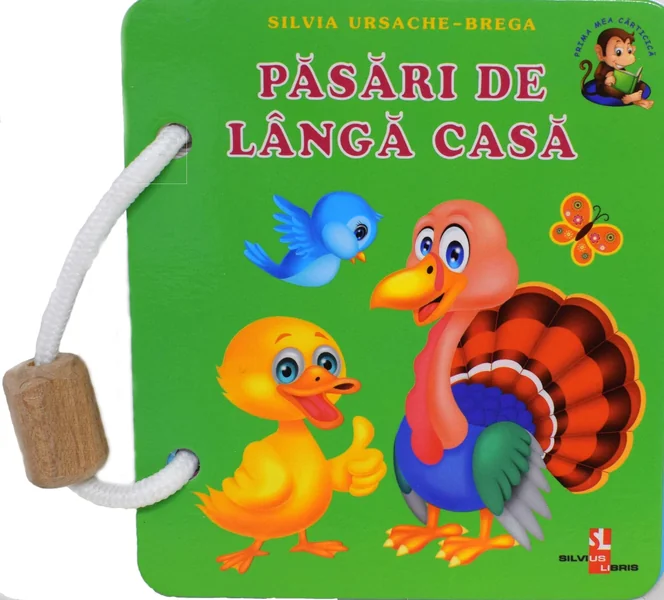 Pasari de langa casa - Silvia Ursache-Brega