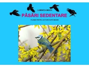 Pasari sedentare - Planse