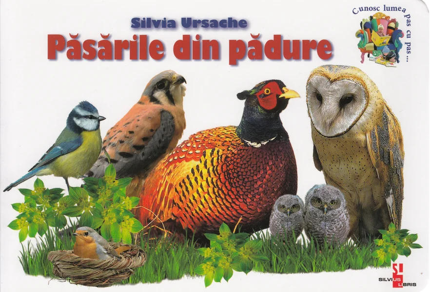 Pasarile din padure