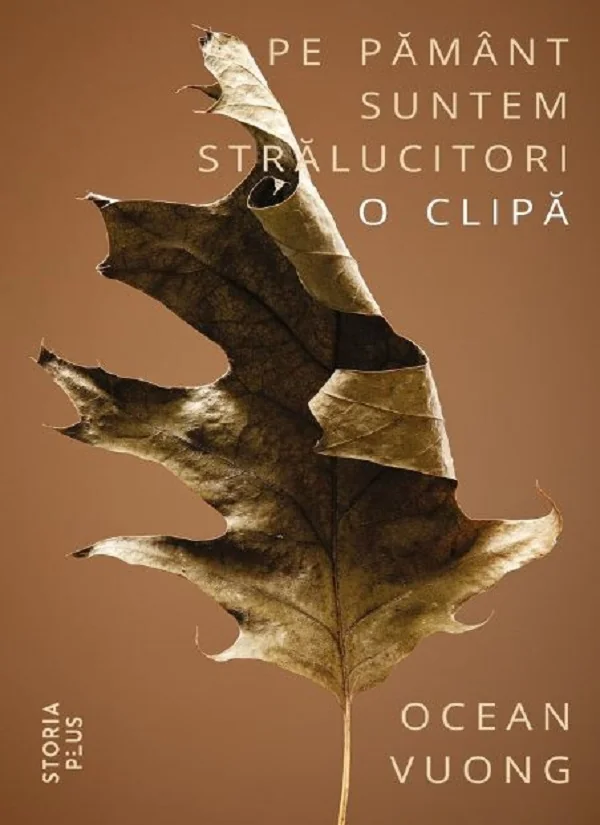 Pe Pamant suntem stralucitori o clipa
