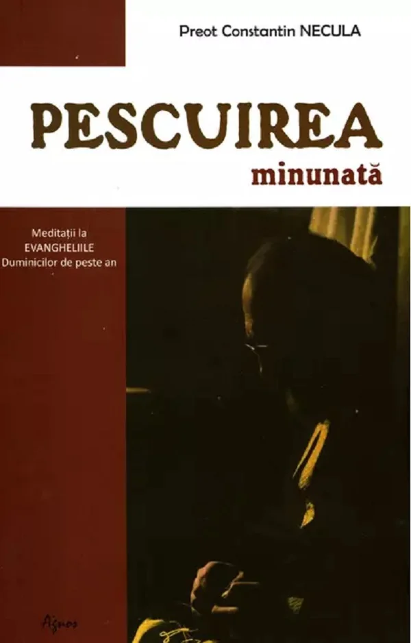 Pescuirea minunata - Constantin Necula