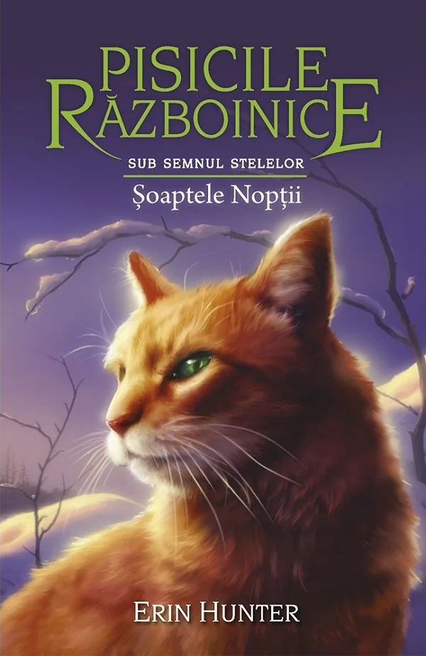 Pisicile razboinice Vol.21: Soaptele noptii