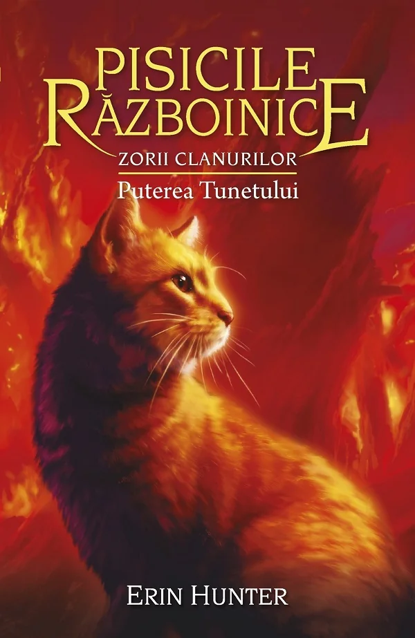 Pisicile razboinice Vol.26: Puterea tunetului