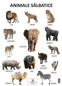 Plansa animale salbatice