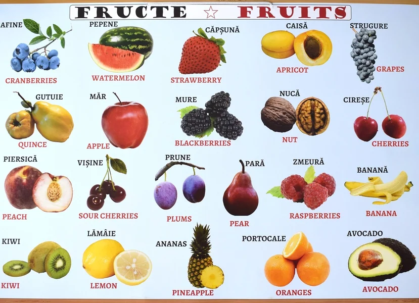 Plansa: Fructe - Legume