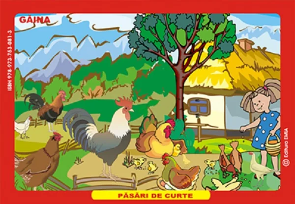 Planse: pasari de curte - Eleonora Negru, Daniela Muntean