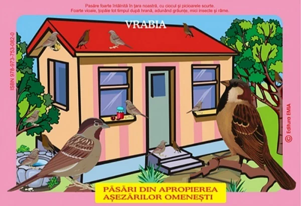 Planse: Pasari din fauna Romaniei care traiesc in apropierea asezarilor omenesti - Olivia Campean, Iustina Mirescu