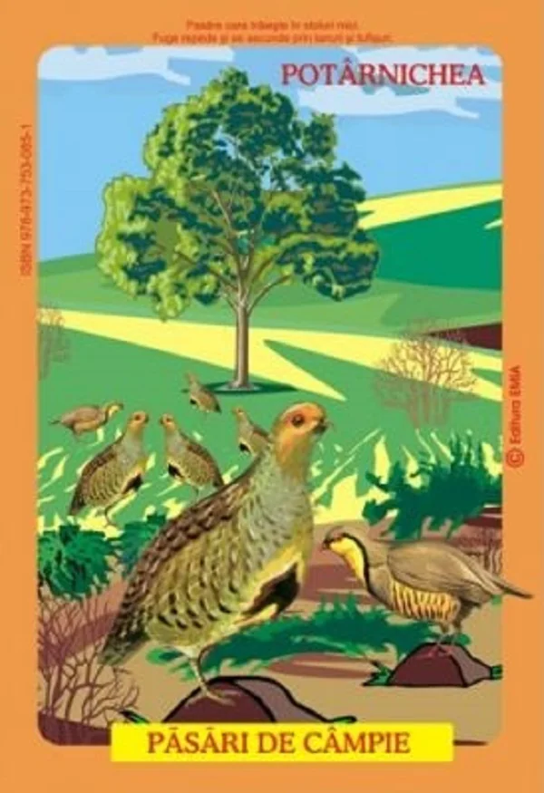 Planse: Pasari din fauna romaniei care traiesc la campie - Olivia Cimpean, Istina Mirescu