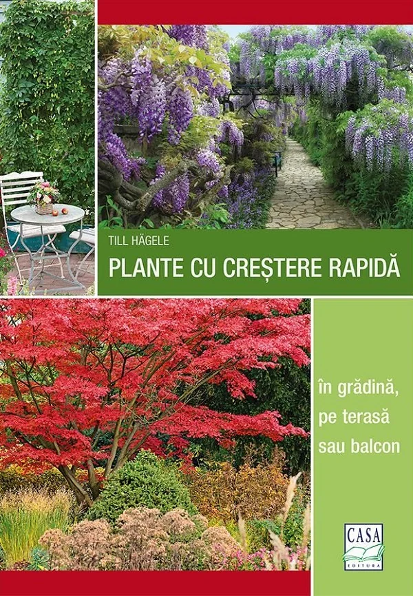 Plante cu crestere rapida in gradina, pe terasa sau balcon